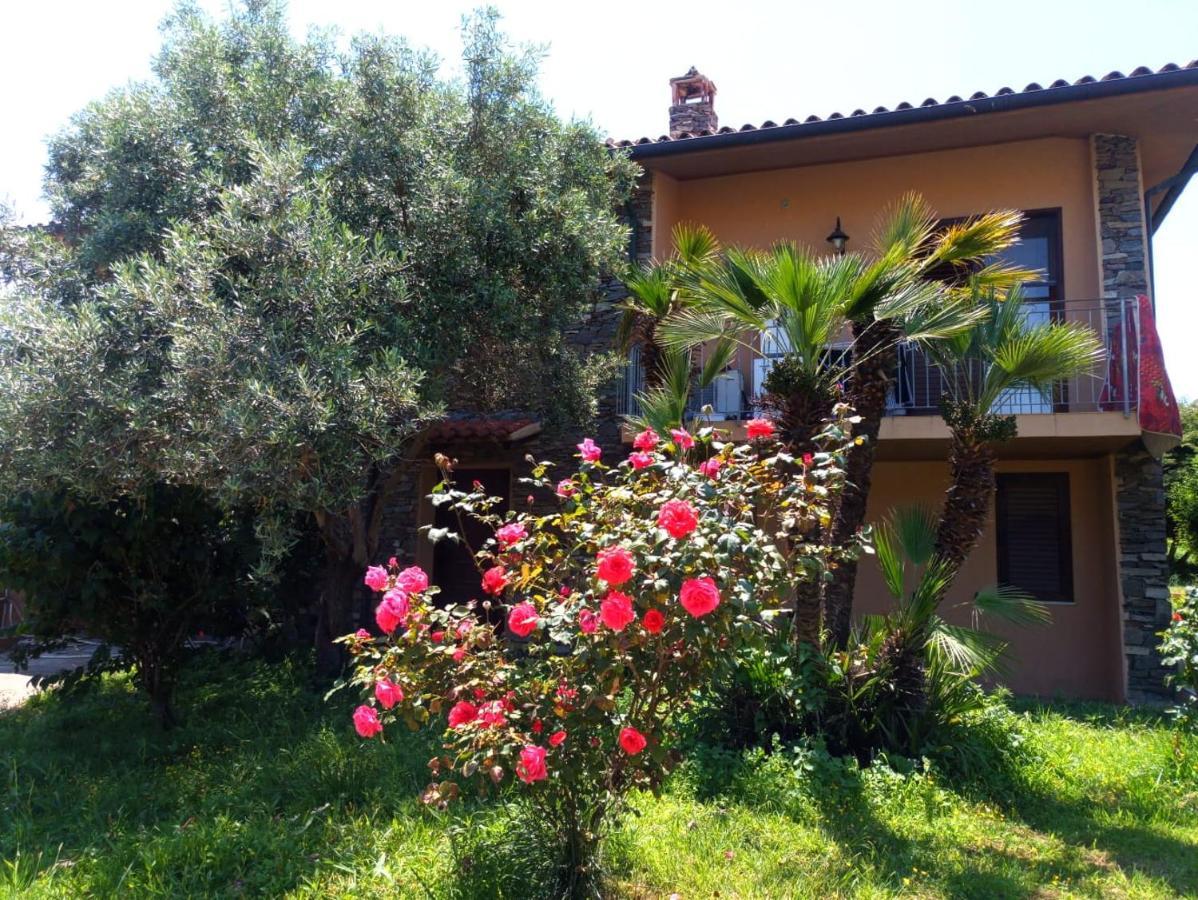Viliam B&B Olbia Zewnętrze zdjęcie