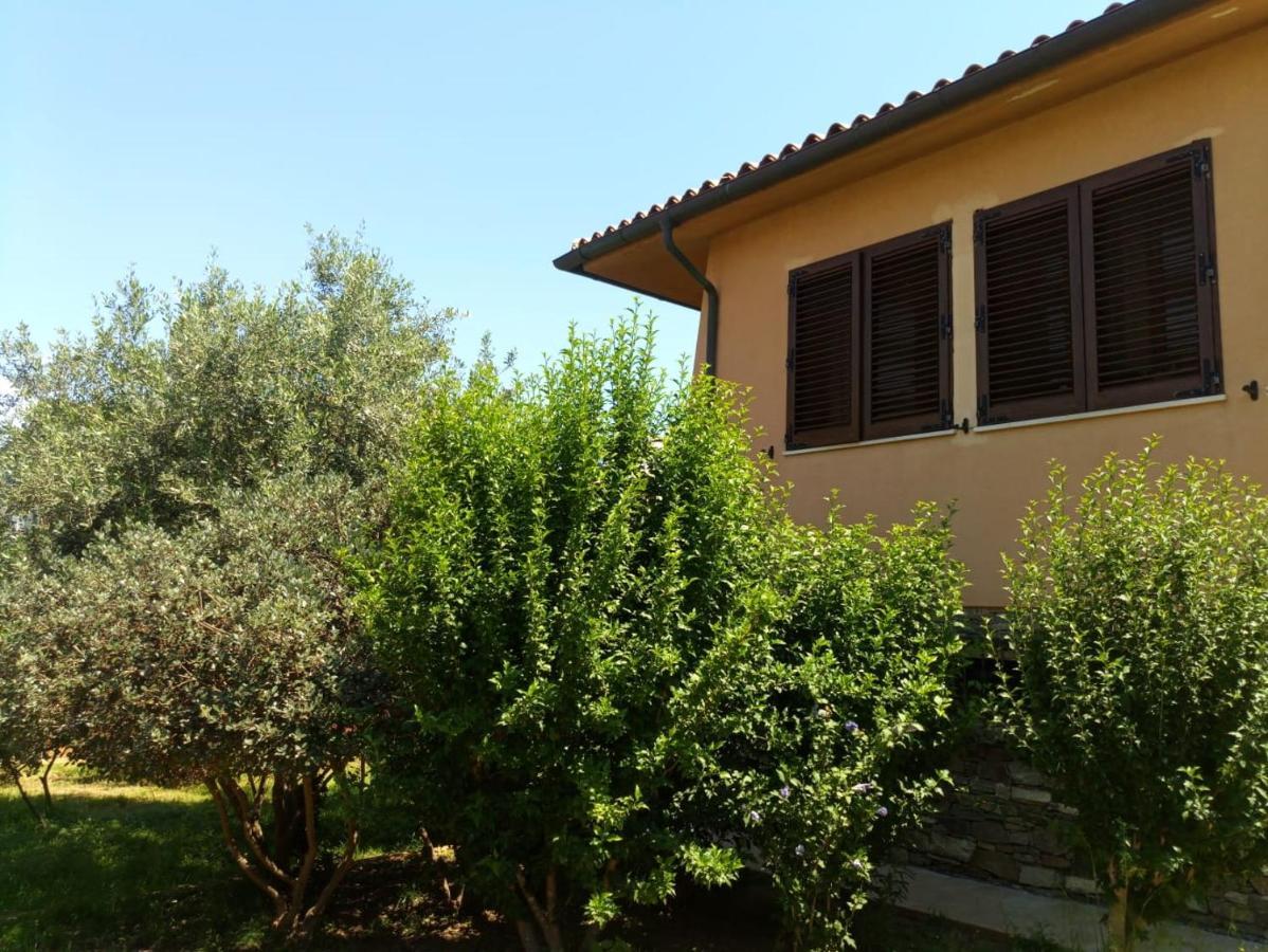 Viliam B&B Olbia Zewnętrze zdjęcie